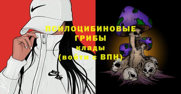 спиды Алексин