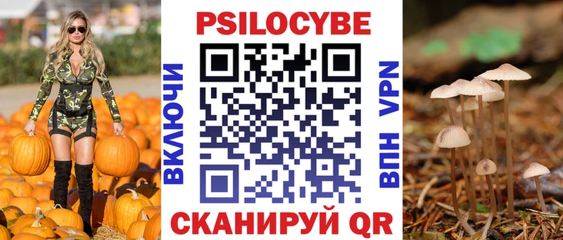 Псилоцибиновые грибы GOLDEN TEACHER наркошоп Гусиноозёрск
